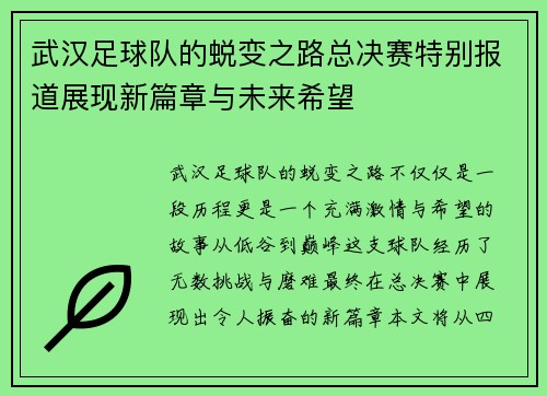 武汉足球队的蜕变之路总决赛特别报道展现新篇章与未来希望